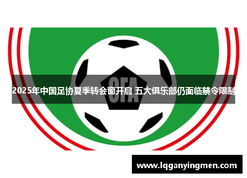 2025年中国足协夏季转会窗开启 五大俱乐部仍面临禁令限制